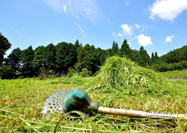 草刈りや敷地の清掃にも対応し、物件を最適な状態に整えることで、より良い印象での売却をサポー